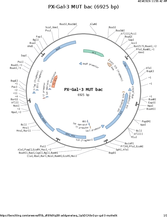 Author Map