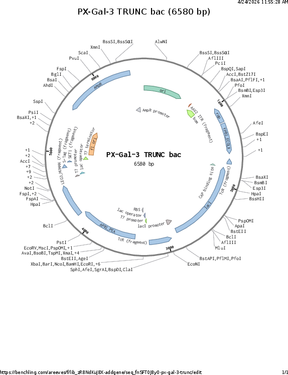 Author Map