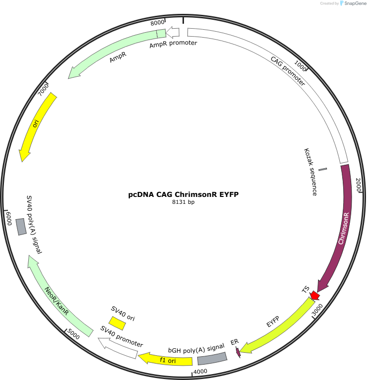 Author Map
