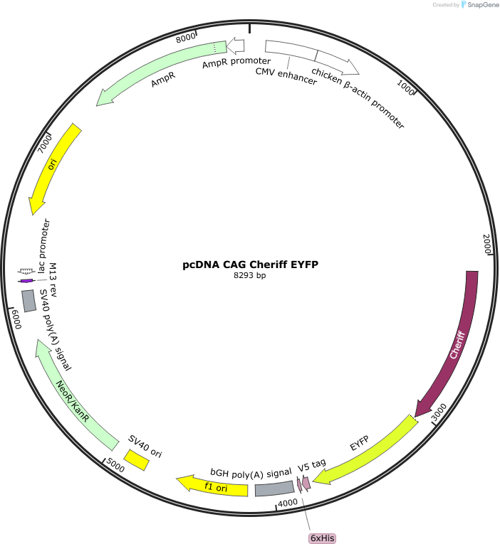 Author Map