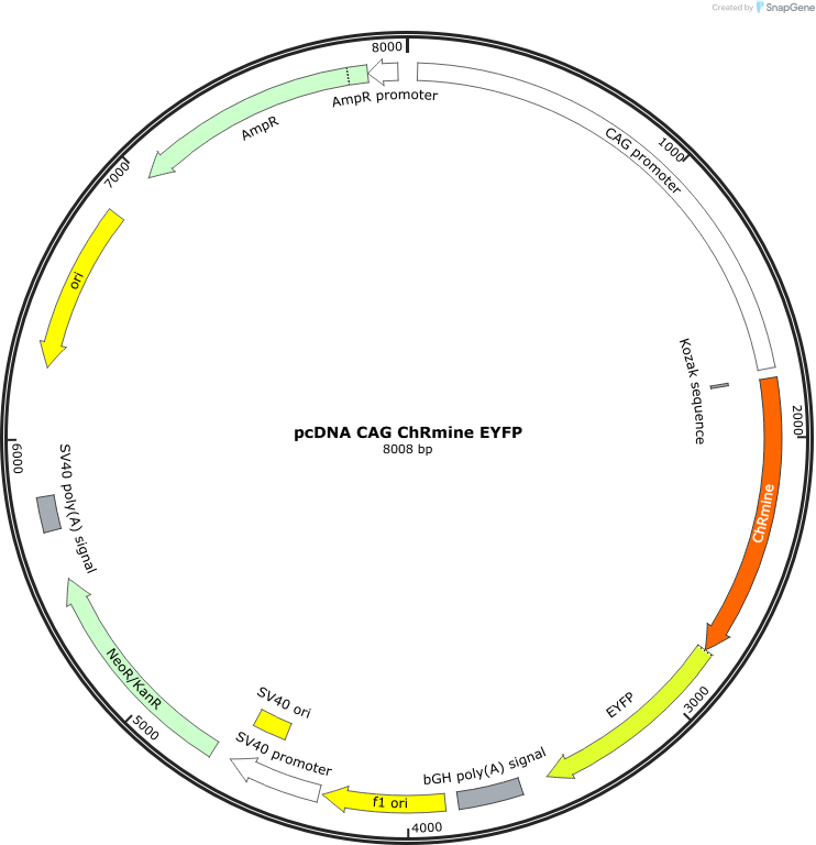 Author Map