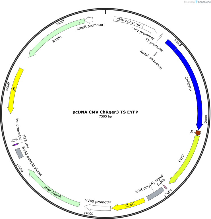 Author Map