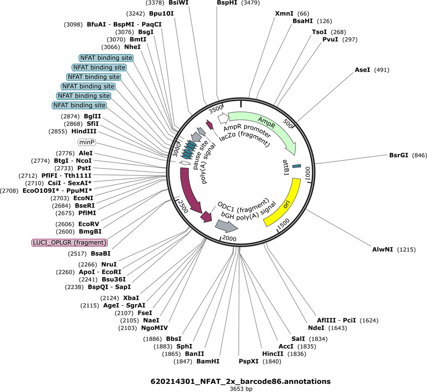 Author Map