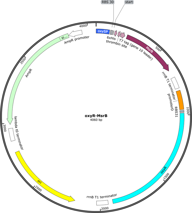 Author Map