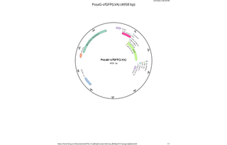 Author Map