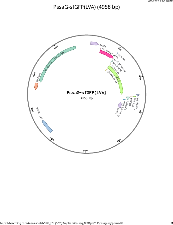 Author Map