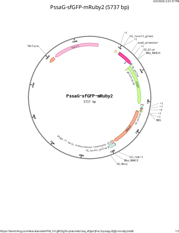 Author Map