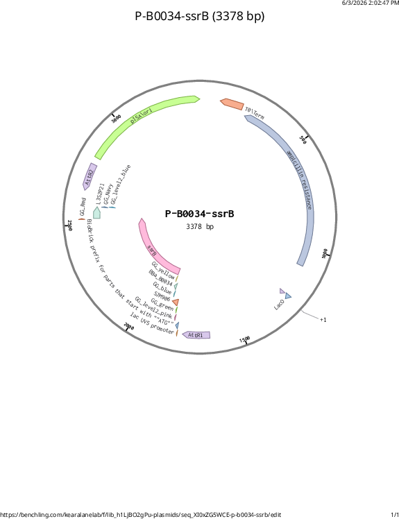 Author Map