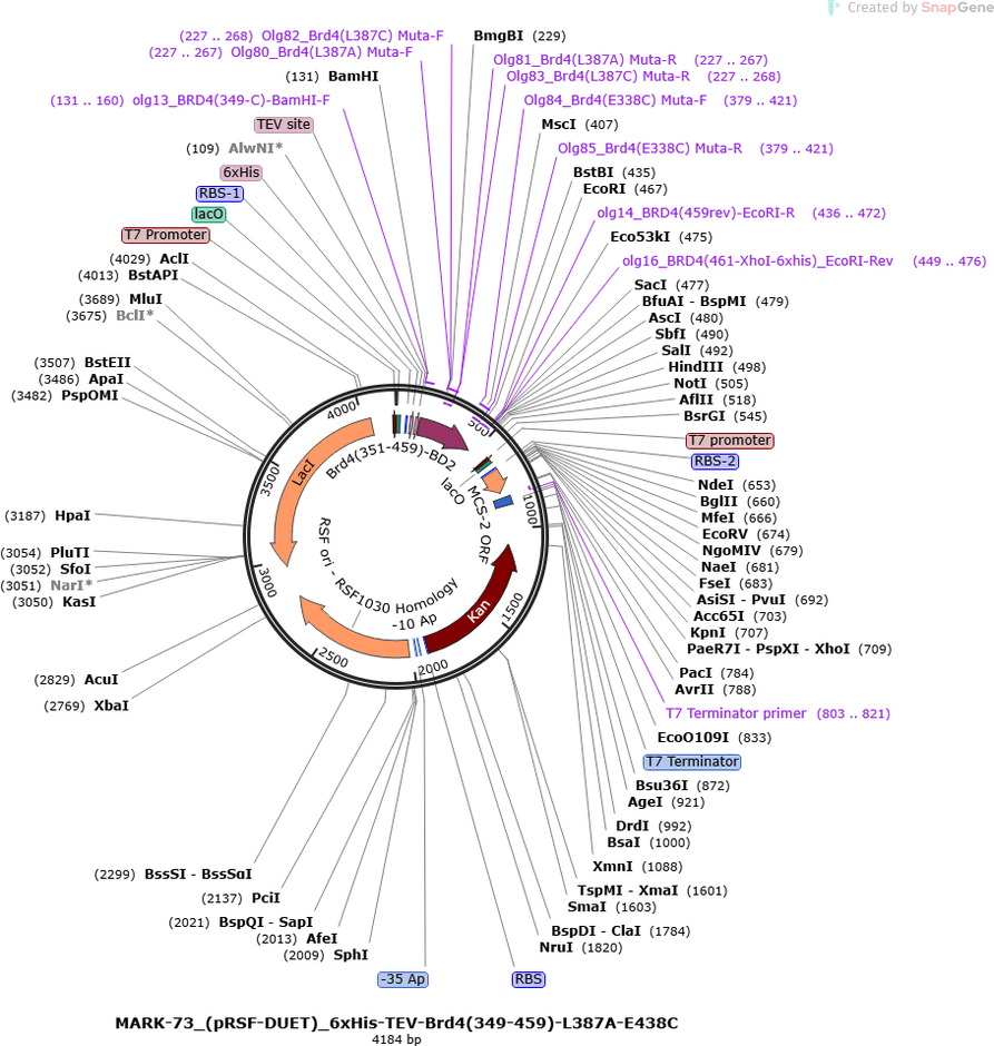 Author Map