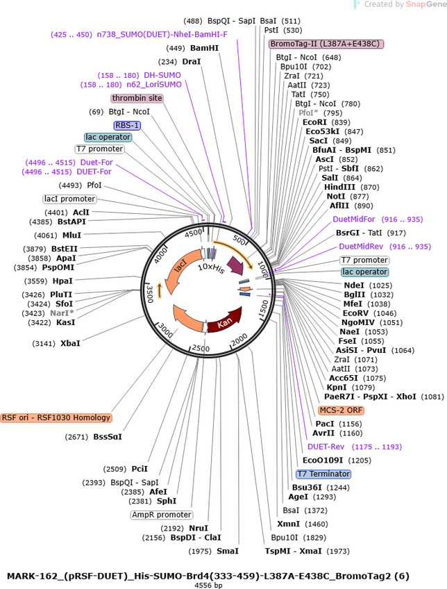 Author Map