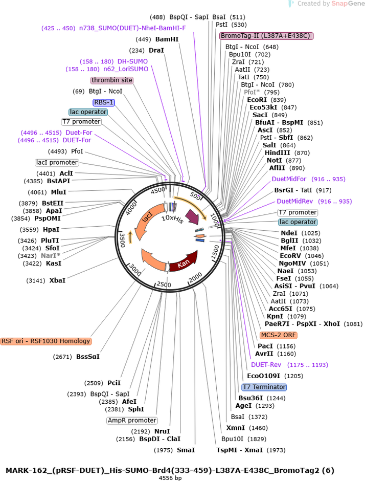 Author Map