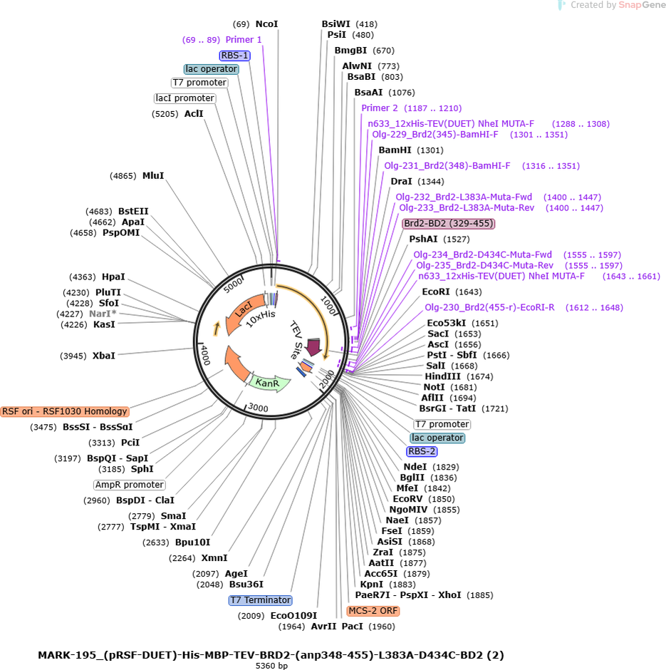 Author Map