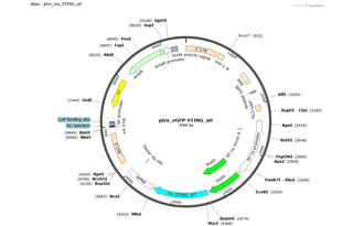 Author Map