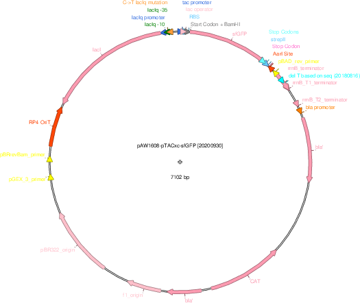 Author Map