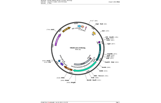Author Map