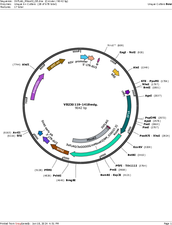 Author Map