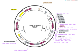 Author Map