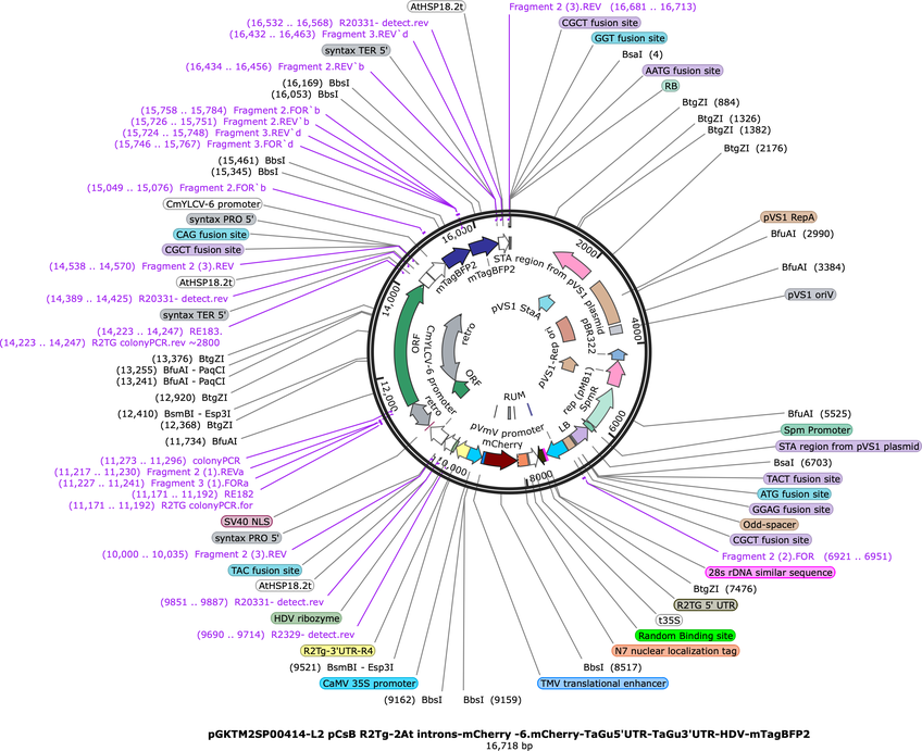 Author Map