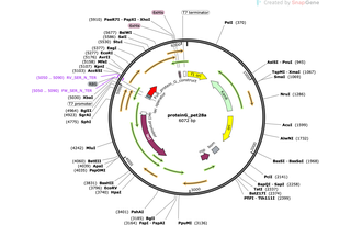 Author Map