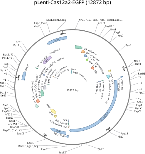 Author Map