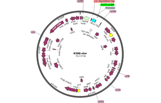 Author Map