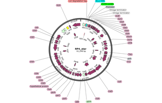 Author Map