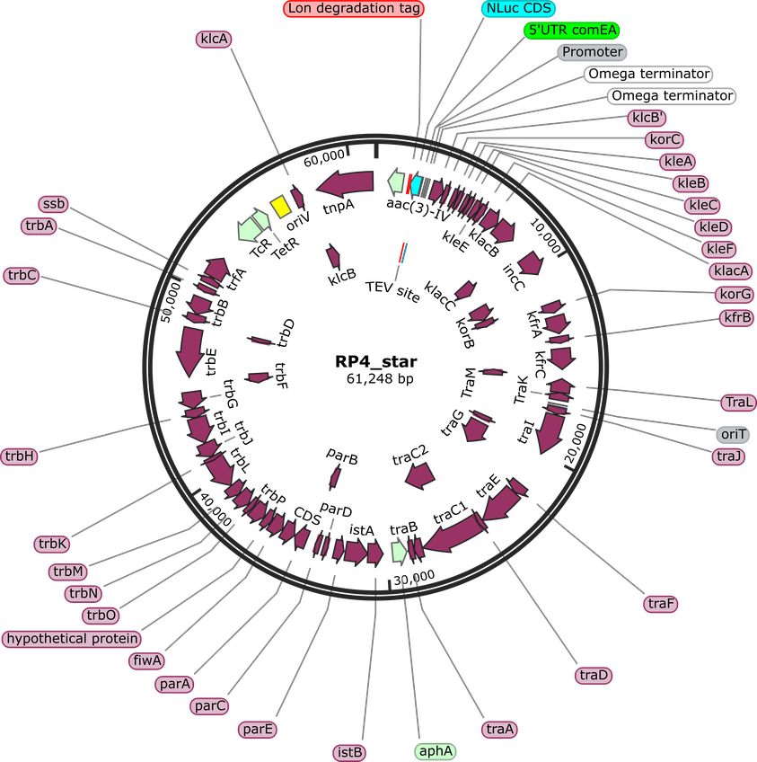 Author Map