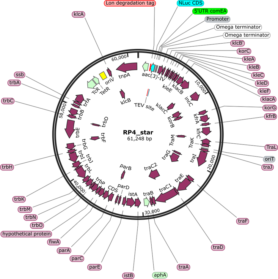 Author Map