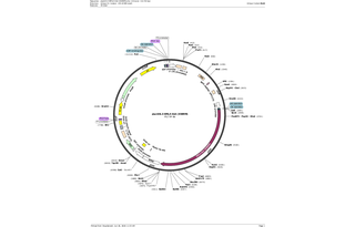 Author Map