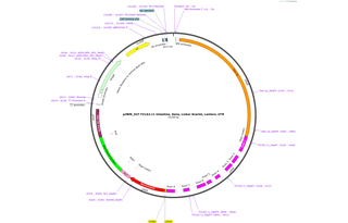 Author Map