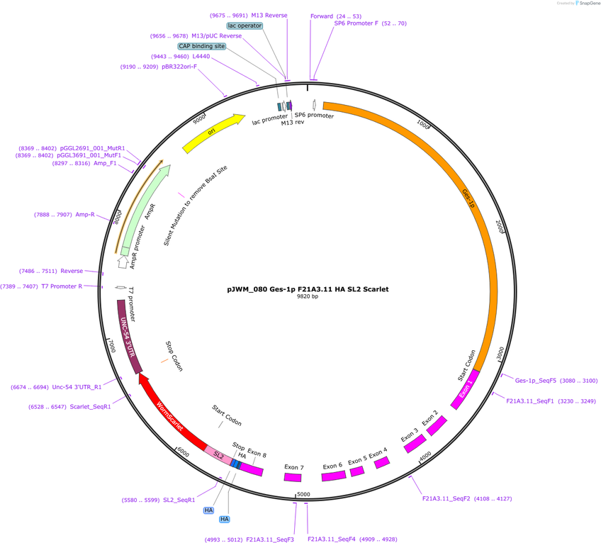 Author Map