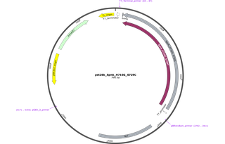 Author Map