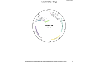 Author Map