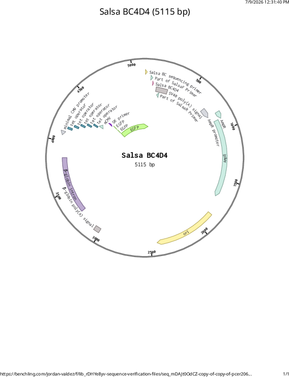 Author Map