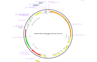 Author Map