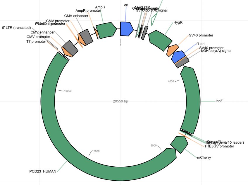 Author Map