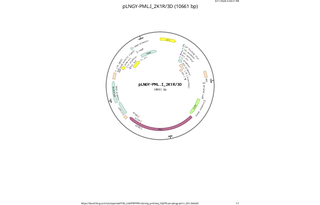 Author Map