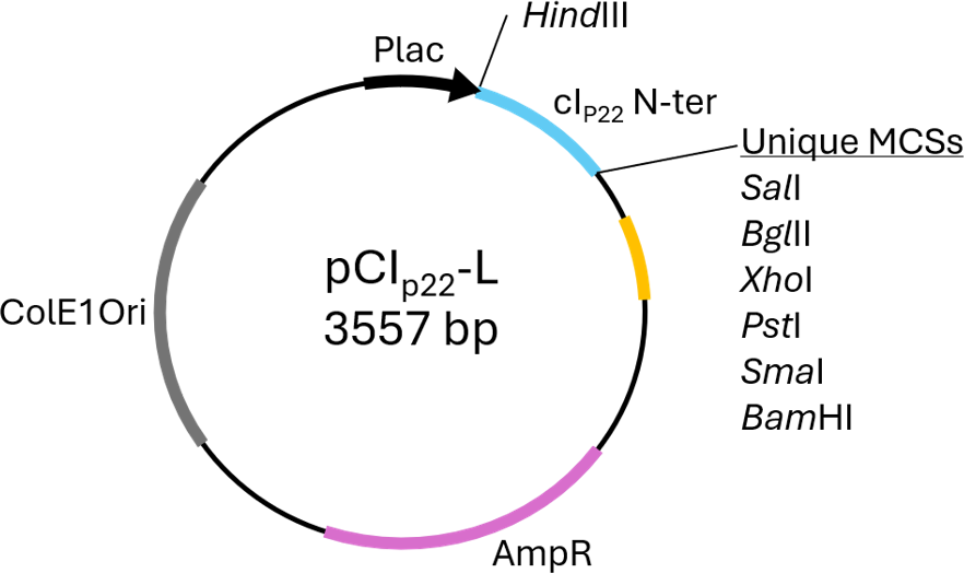 Author Map