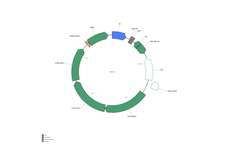 Author Map