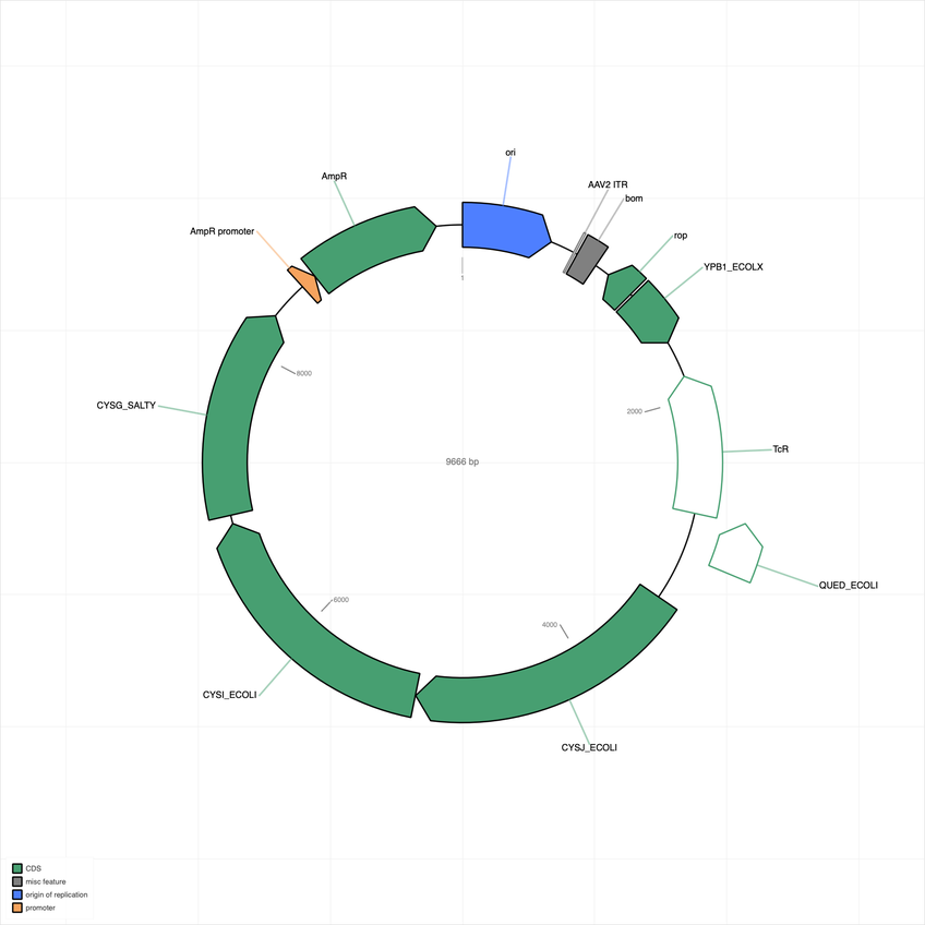 Author Map