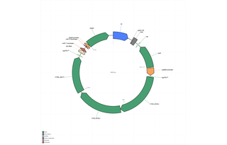 Author Map
