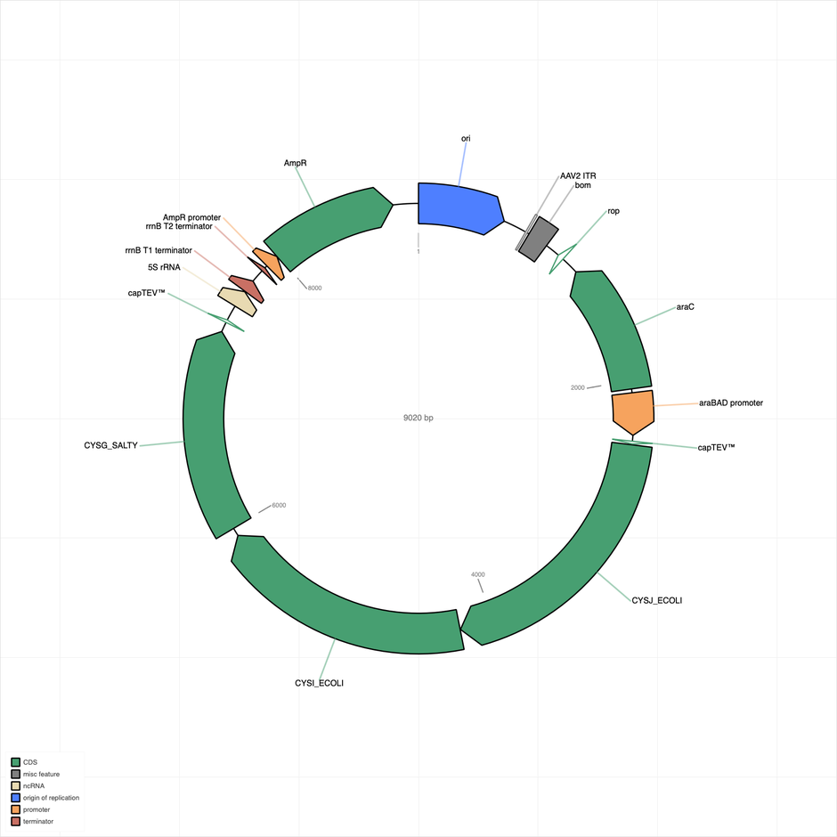 Author Map