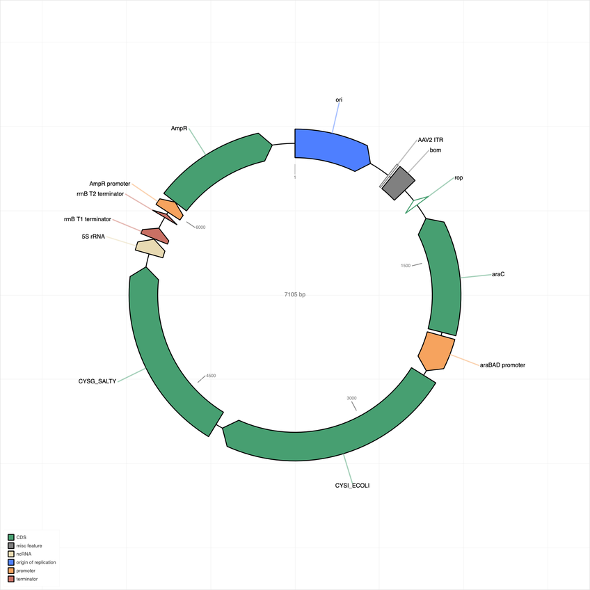 Author Map