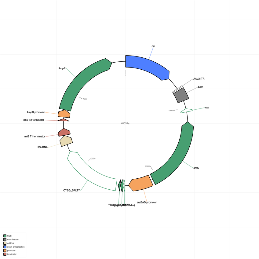 Author Map