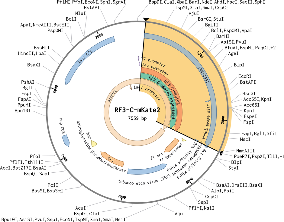 Author Map