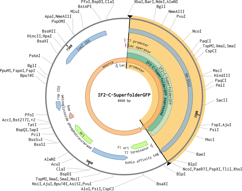 Author Map