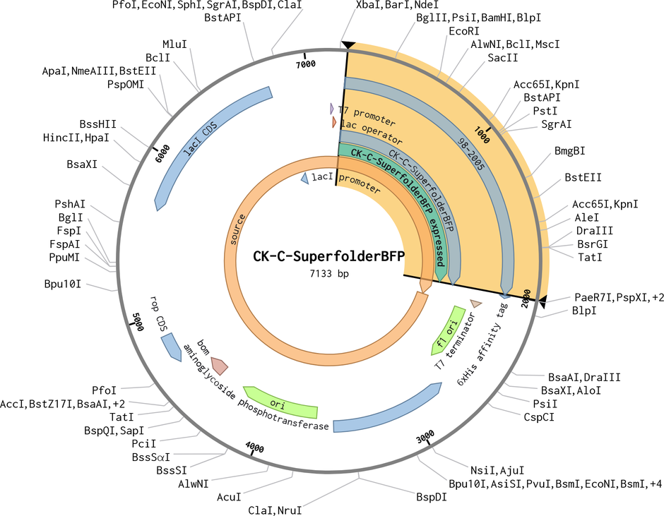 Author Map