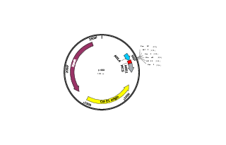 Author Map