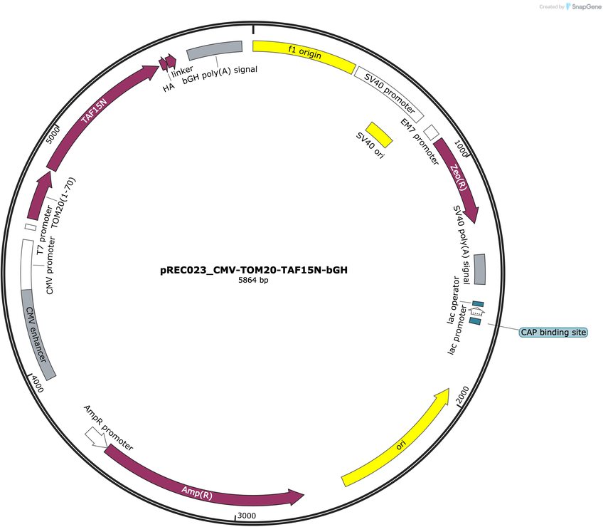 Author Map
