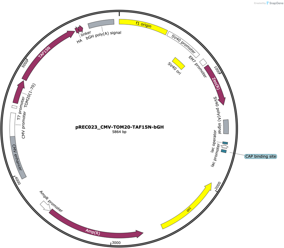 Author Map